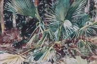 (image for) Handmade Oil painting for home canvas, oil painting framed canvas for living room John Singer Sargenti's art Palmettos 1917